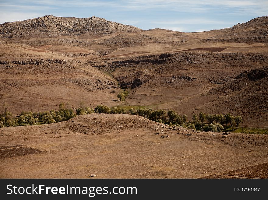 Dry desert