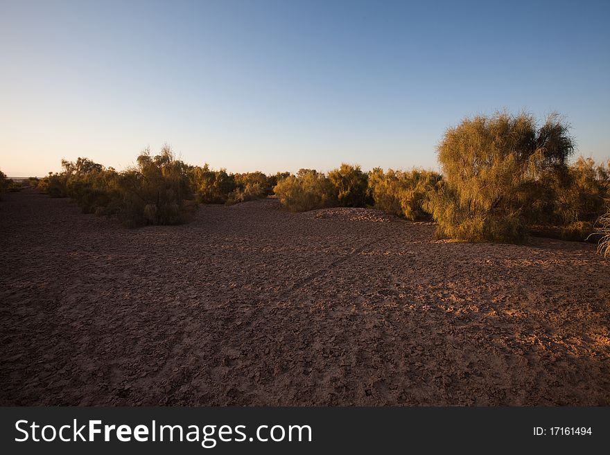 Dry desert. Very hot sand.