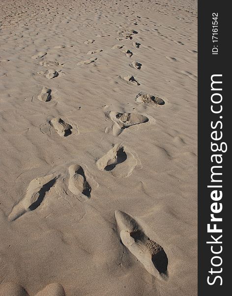 Image of crisscross footprints made in a sand. Image of crisscross footprints made in a sand