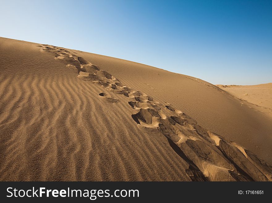 Dry desert. Very hot sand.