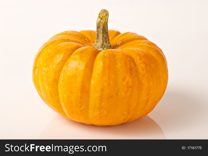 Miniature pumpkin on white background