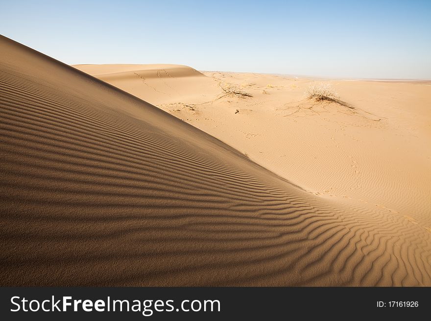 Dry desert. Very hot sand.