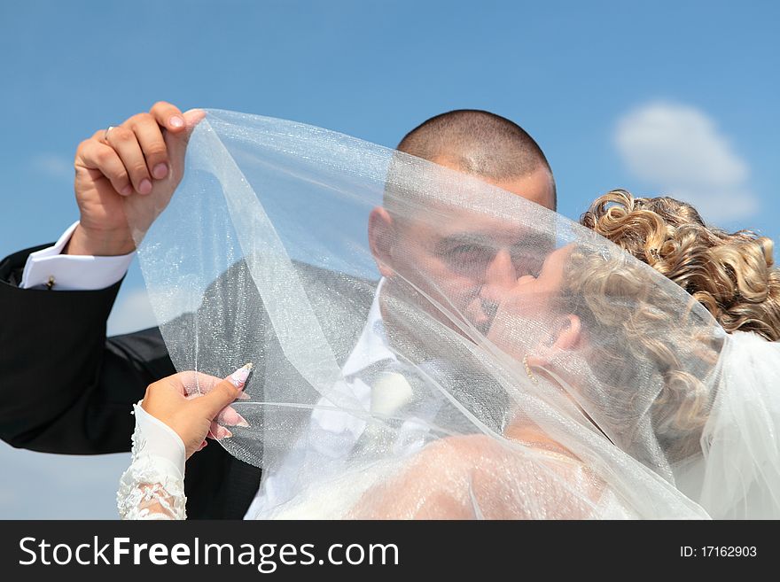 The groom and the bride kiss under a veil