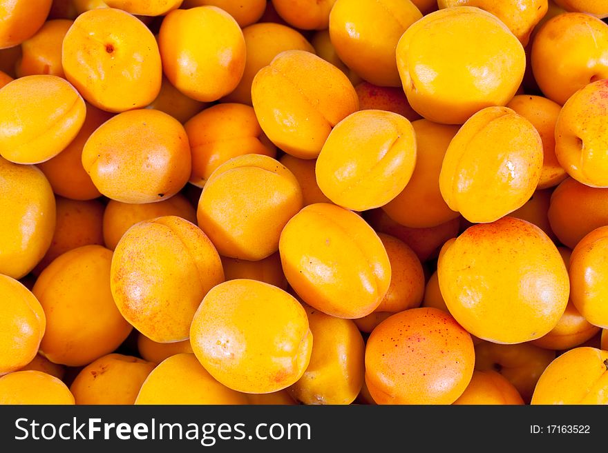 A punch of many Apricots lying around after harvest. A punch of many Apricots lying around after harvest