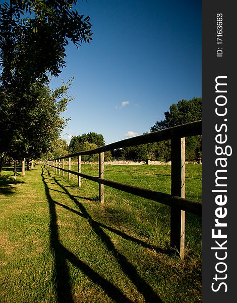 Fence Dividing Orchard And Meadow