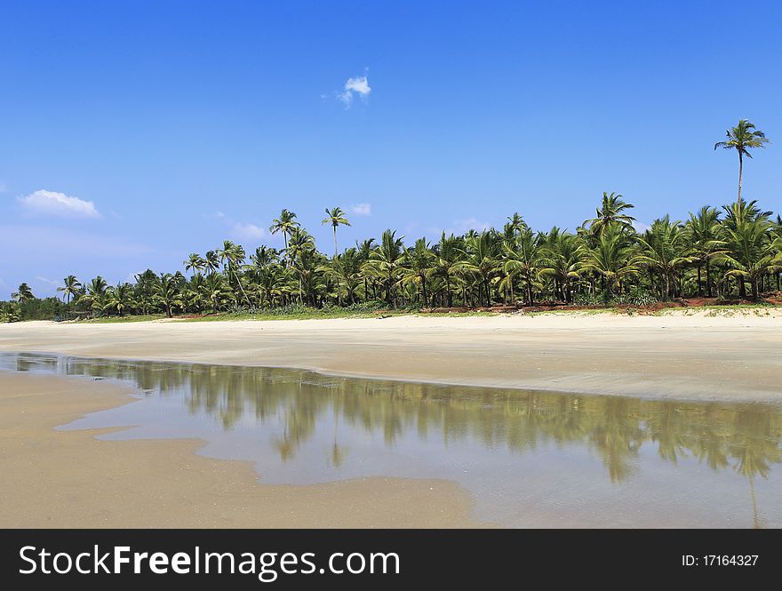 Tropical sandy beach in the coastal province of goa in india. Tropical sandy beach in the coastal province of goa in india