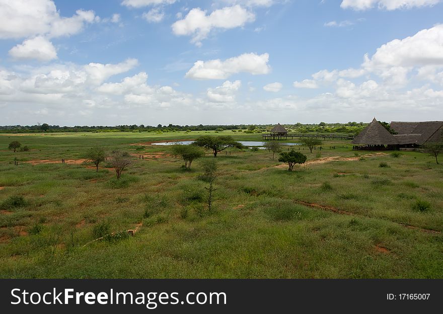 African savannah Kenya outdoors landscape