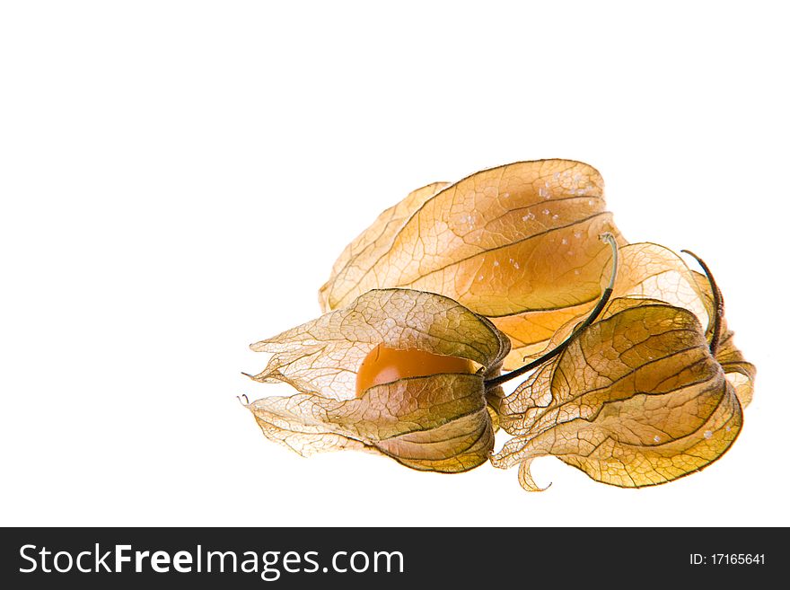 Ripe cape gooseberry (physalis) on a white background