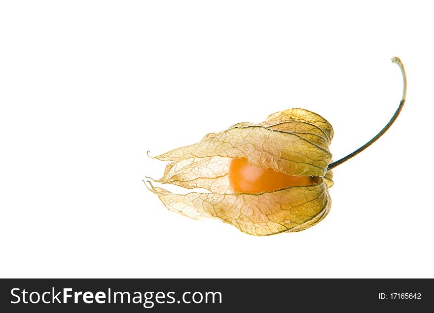 Ripe cape gooseberry (physalis)