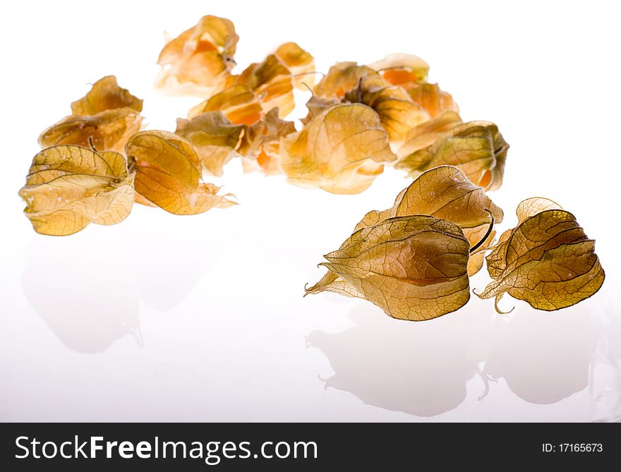 Ripe cape gooseberry (physalis) on a white background