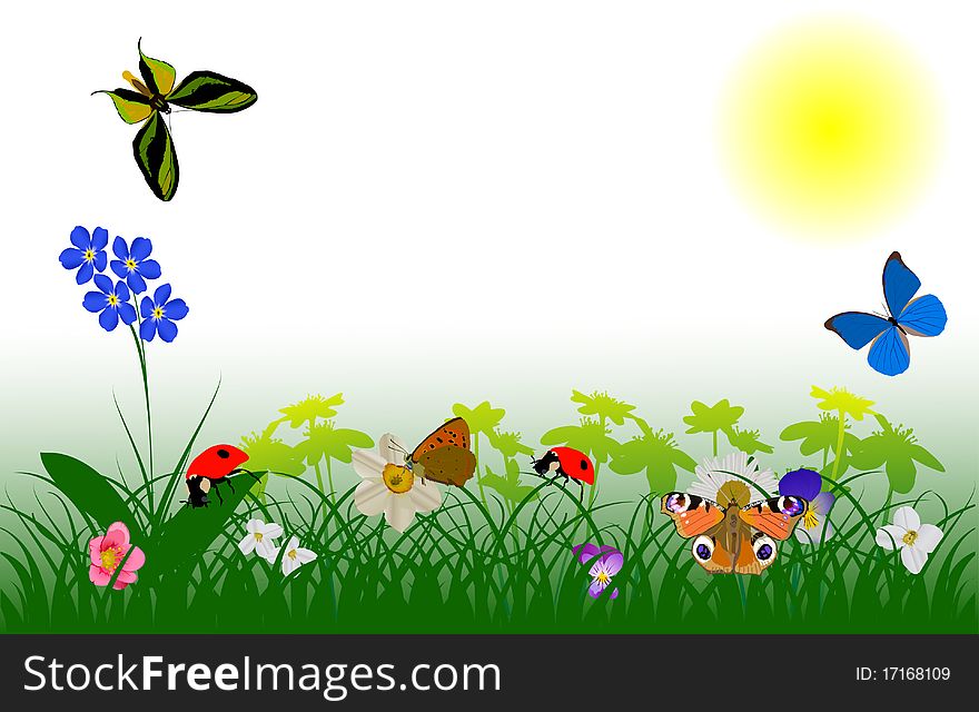 Illustration with butterfly, flowers, grass and ladybugs. Illustration with butterfly, flowers, grass and ladybugs