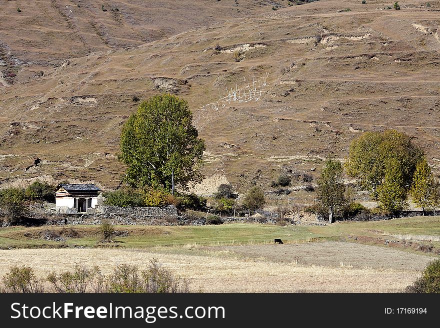 Tibetan village in west sichuan provinve of china