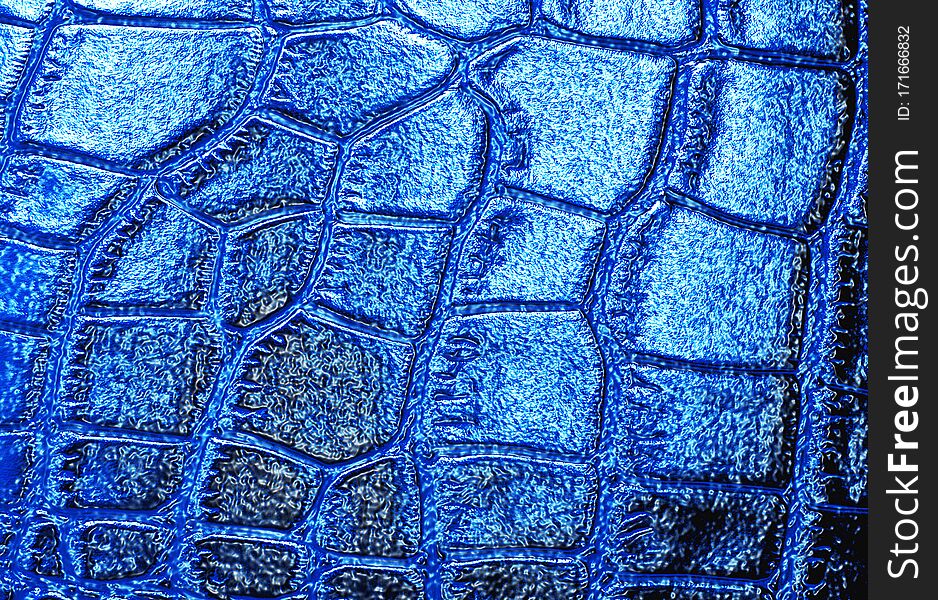 Crocodile leather texture background, blue color.