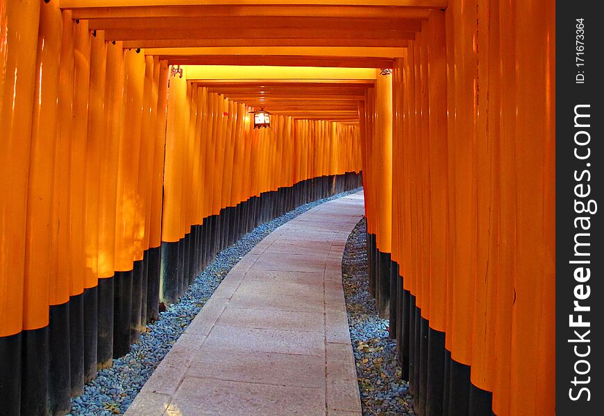 Pathway through orange torii in Japan