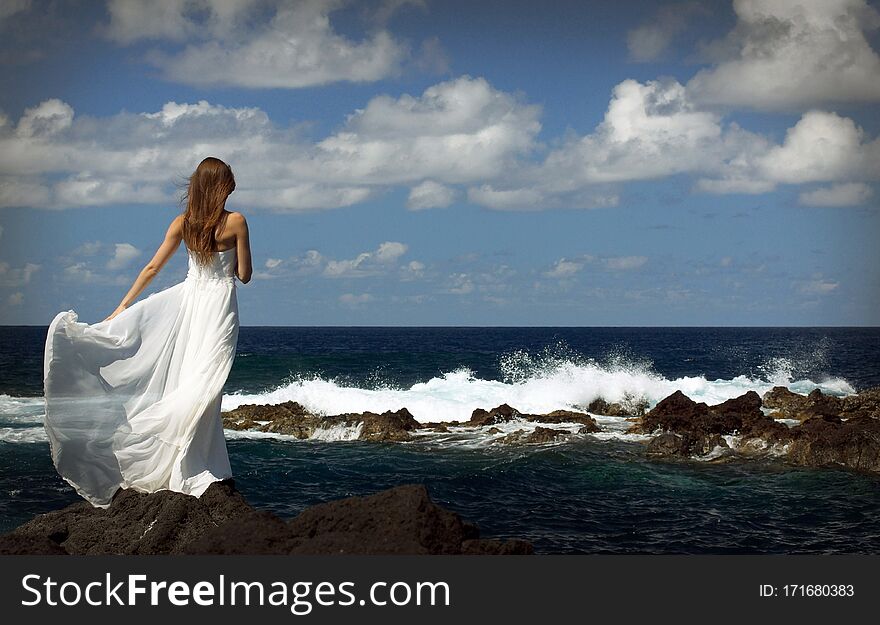 Young elegant bride in light white wedding dress standing on windy sea rock shore and looking at ocean. Back view. Ocean waves, splash of water and blue cloudy sky. Wedding ceremony on ocean coast. Young elegant bride in light white wedding dress standing on windy sea rock shore and looking at ocean. Back view. Ocean waves, splash of water and blue cloudy sky. Wedding ceremony on ocean coast