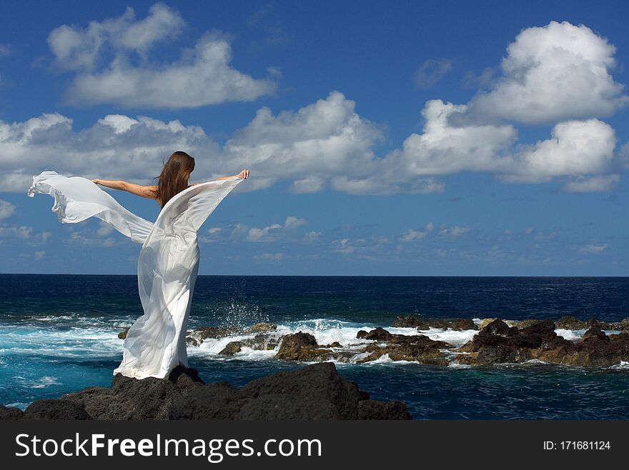 Back view of young bride with white wings of wedding dress on rock sea shore. Ocean waves, splash of water