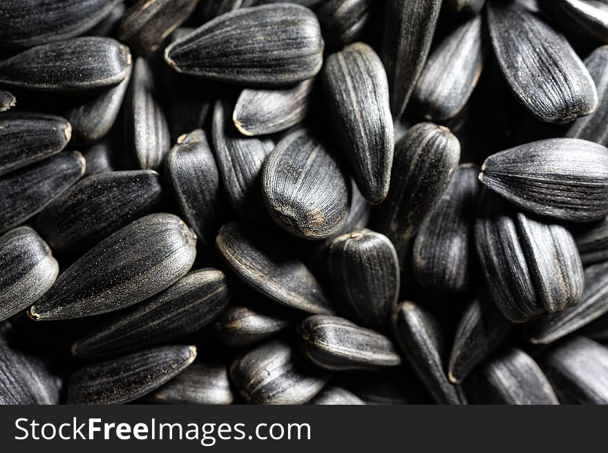 Texture Of Sunflower Seeds