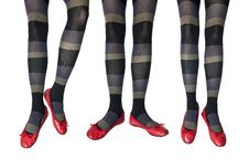 Studio Photo Of The Female Legs In Colorful Tights Royalty Free Stock Photography Studio Photo Of The Female Legs In Colorful Tights Royalty Free Stock Photography