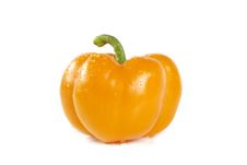 Paprika Royalty Free Stock Images Paprika Royalty Free Stock Images