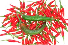 Green And Red Chili Royalty Free Stock Photo Green And Red Chili Royalty Free Stock Photo