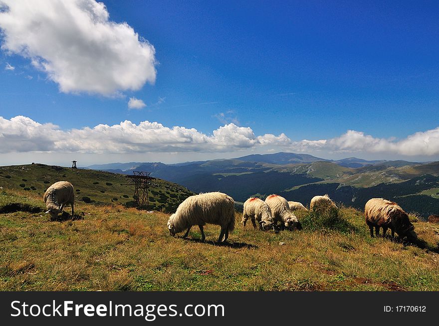 Mountains Landscape