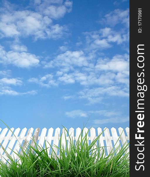 White with green grass and blue sky. White with green grass and blue sky