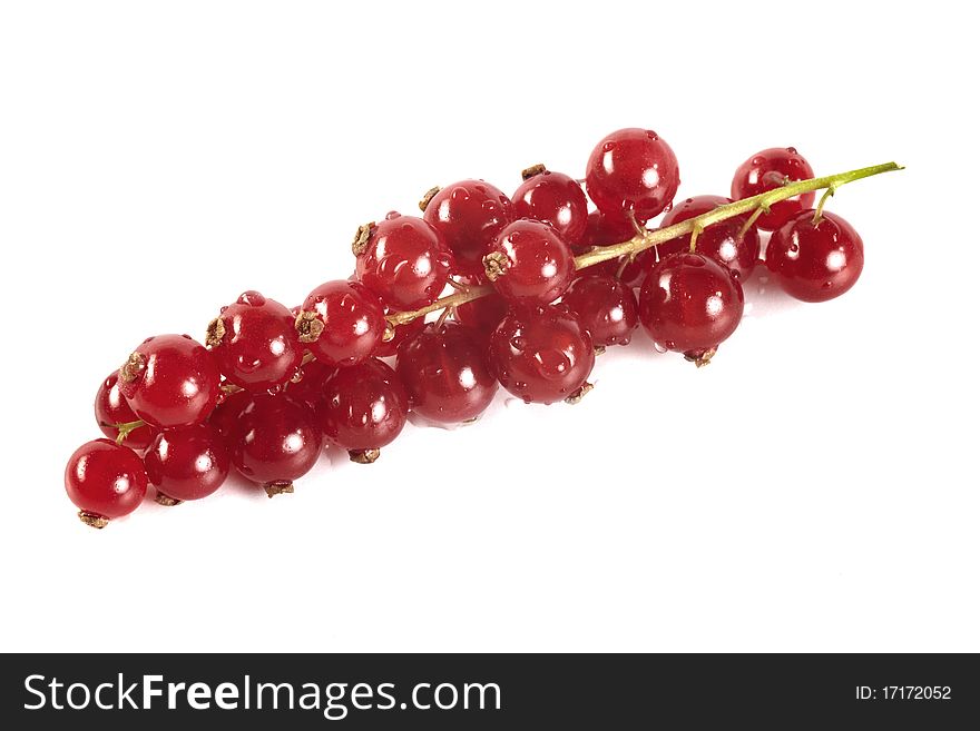 Redcurrant berry sweet on white