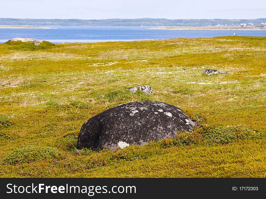 Landscape of Greater Zayatsky island of Solovki islands, White Sea, Northern Russia.