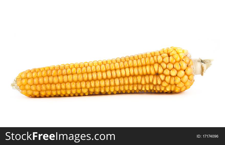Golden corn isolated on white background
