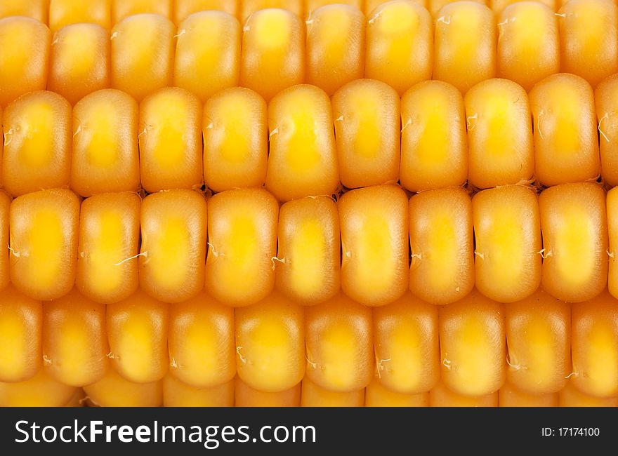 Golden corn background. Natural texture.