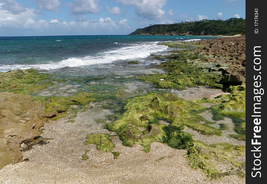 Rocky and sandy beach along the coast of the tropical Caribbean island of Puerto Rico USA. Rocky and sandy beach along the coast of the tropical Caribbean island of Puerto Rico USA.