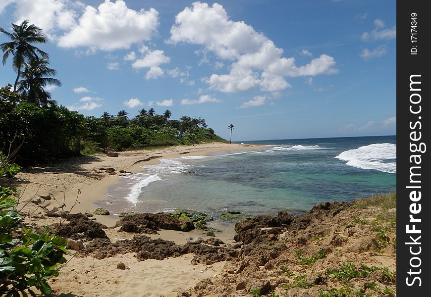 Sandy beach cove with palm trees along the coast of the tropical Caribbean island of Puerto Rico USA. Sandy beach cove with palm trees along the coast of the tropical Caribbean island of Puerto Rico USA.