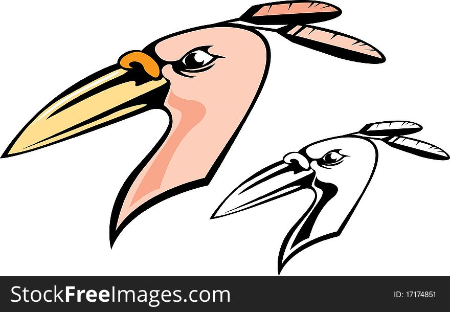 Vector illustration of bird's head