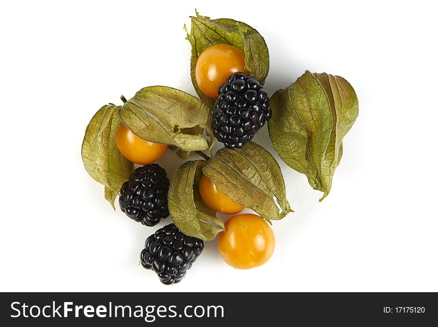 Blackberry and physalis on white background