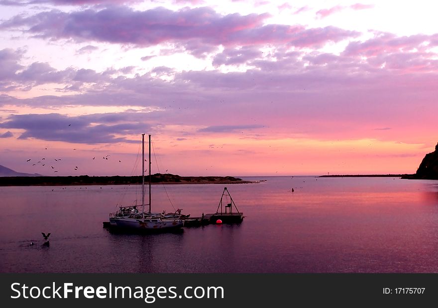 Anchored Sail Boats during sunset with seagulls diving and dramatic skies