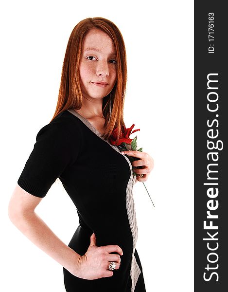 A pretty red haired woman in a black dress holding a red rose to
her chest, looking into the camera, on white background. A pretty red haired woman in a black dress holding a red rose to
her chest, looking into the camera, on white background.