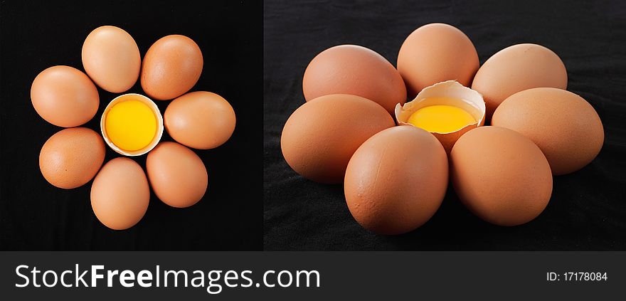 Unique Eggs Formation