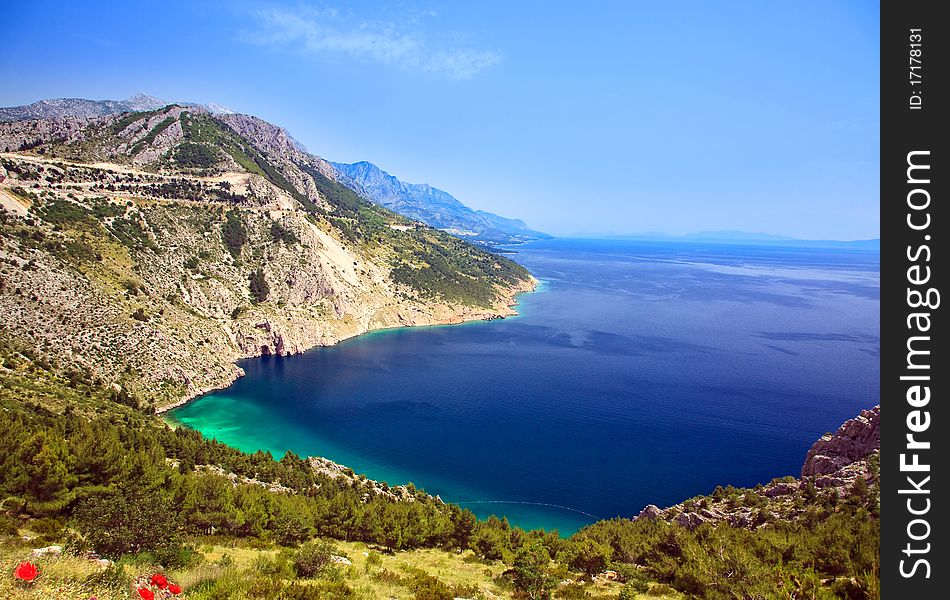 Beautiful Mountain Bay With Poppies