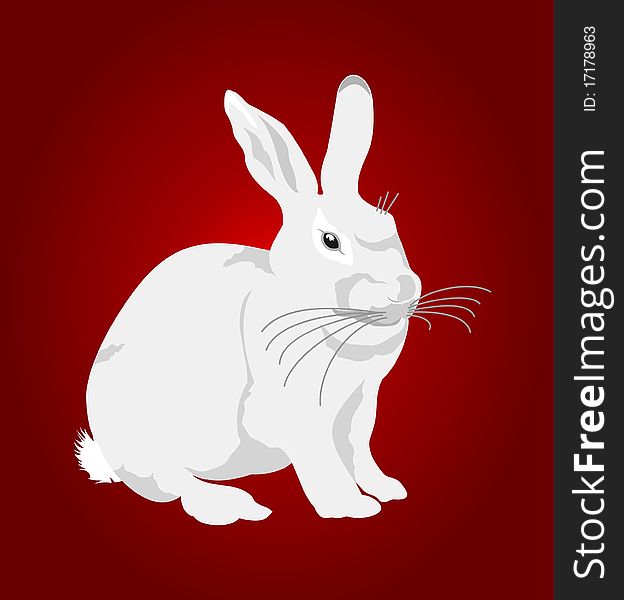 White rabbit on a red background. A illustration. White rabbit on a red background. A illustration