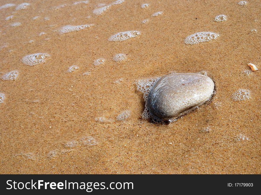 Close-up of a stone on the sandy beach. Close-up of a stone on the sandy beach
