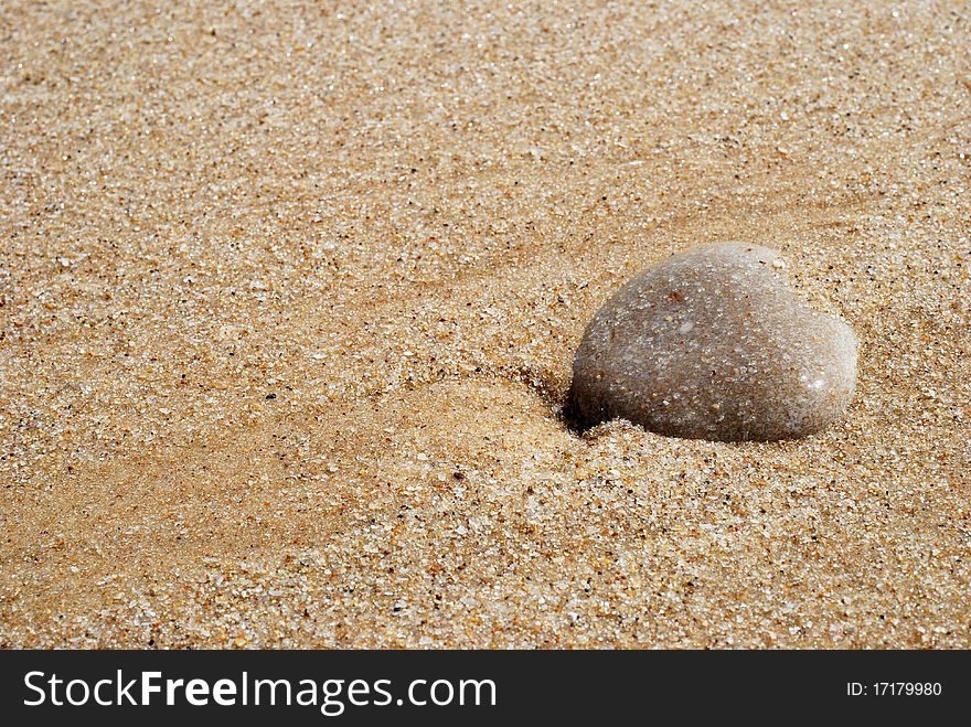 Close-up of a stone on the sandy beach. Close-up of a stone on the sandy beach