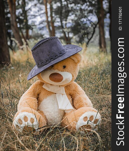 Norange toy bear in a cowboy hat among the forest sits in green and yellow grass