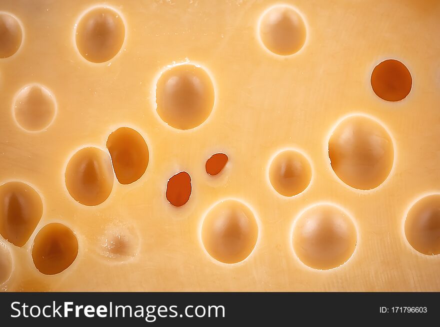 Delicious yellow cheese as a texture. Delicious yellow cheese as a texture