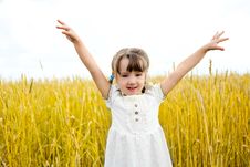 Girl In The Field Royalty Free Stock Photos Girl In The Field Royalty Free Stock Photos