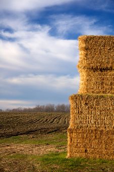 Stack Of Hay Bales In Plowed Field 2 Royalty Free Stock Images Stack Of Hay Bales In Plowed Field 2 Royalty Free Stock Images