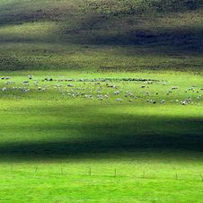 Grassland Royalty Free Stock Photos Grassland Royalty Free Stock Photos