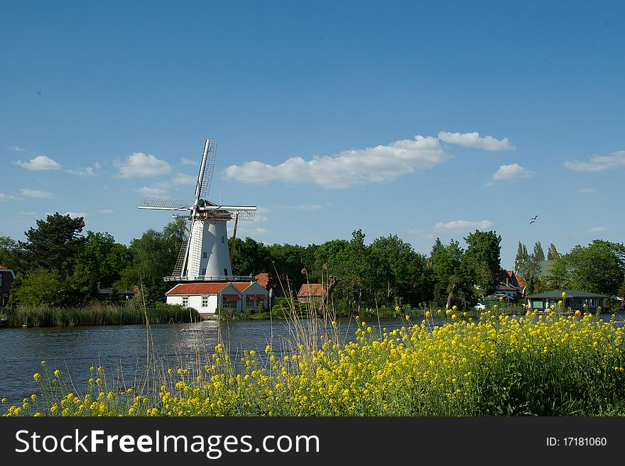 A mill near the river Rotte (Rotterdam) in a typical Dutch landscape setting in spring colours. A mill near the river Rotte (Rotterdam) in a typical Dutch landscape setting in spring colours