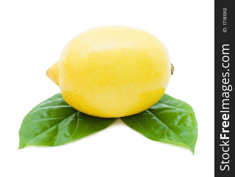Lemon with green leafs