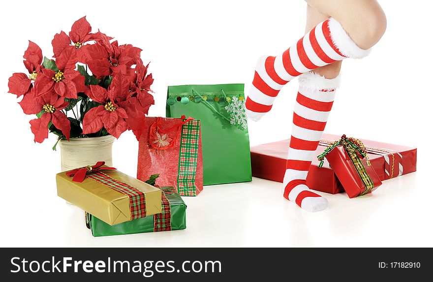 Feet in long, striped socks daning among wrapped Christmas gifts and a pot of poinsettias. Isolated on white. Feet in long, striped socks daning among wrapped Christmas gifts and a pot of poinsettias. Isolated on white.