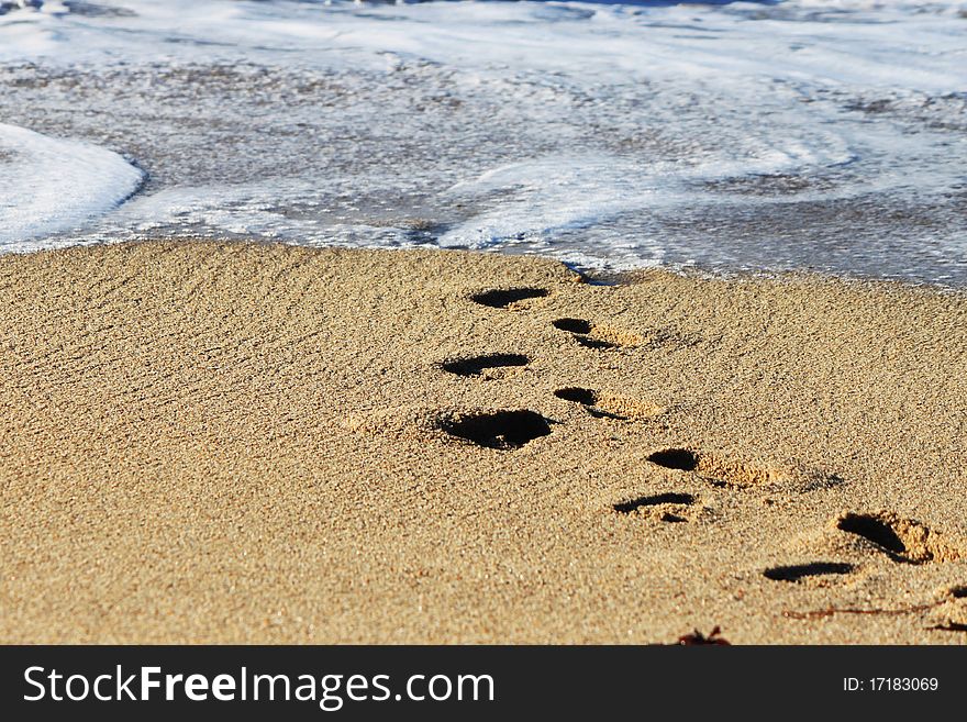 Footprints on the Beach